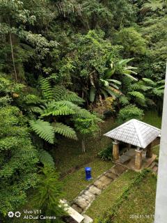 The Sweet & Cosy Forest View Studio Cameron Highlands - 8