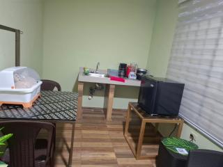 Hostal Green House - 1