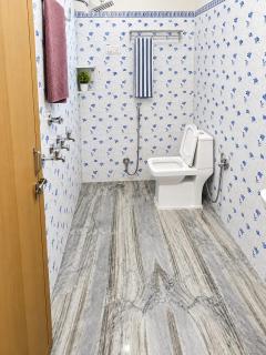 1BHK Penthouse near airport - 5