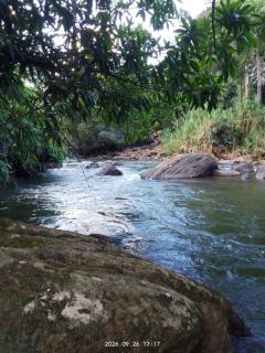 Elysium Homestay - 7