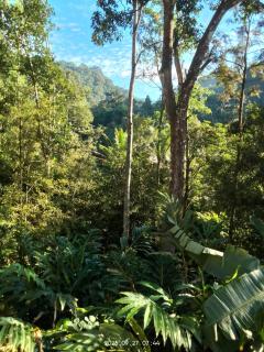 Elysium Homestay - 5