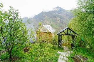 Himalayan Abode Tree House - 4
