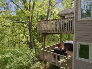 Hot Tub, Movie Room, 3 King Suites, 2 Fireplaces - 8