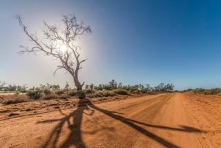 Mungo Shearers' Quarters - Mungo - 1