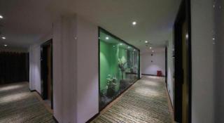 Green Tree Inn Guangxi Wuzhou 2nd Xinxing Road Liangguang Market - 2