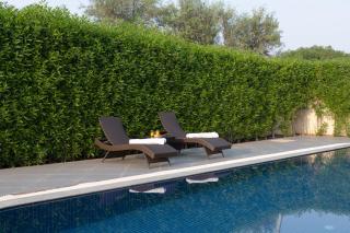 ELIVAAS Signature Lush Haven 4 BHK Villa Private Pool, Terrace & Landscaped Garden - 1