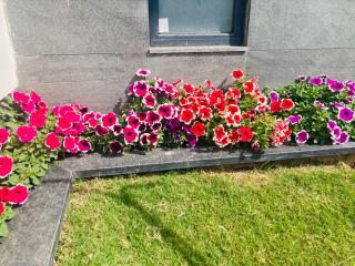 Holiday Home Guest House - 7