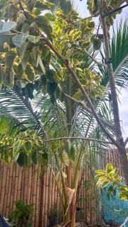 Hearth & Home homestay - Claver, Surigao del Norte - 2