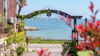 Geoje Pings Pet-Friendly Pension - 0