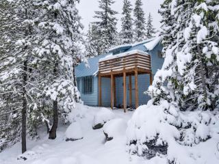 3Dogs Cabin - 9