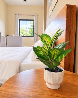 4Leaf Cozy House Pakchong Khaoyai - 6