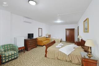 Hotel Ariesul - 0