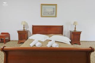 Hotel Ariesul - 5