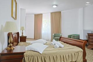Hotel Ariesul - 1