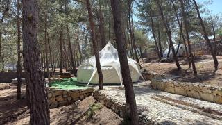 Lotus Belle Tent in a Kobayat Pine Forest - 5