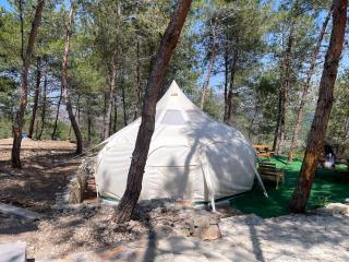 Lotus Belle Tent in a Kobayat Pine Forest - 4