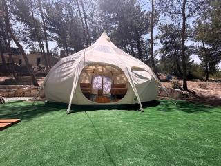 Lotus Belle Tent in a Kobayat Pine Forest - 8