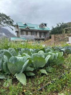 Shrenbute Cottage - 8