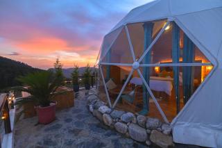 Galaxy home kasauli - 6
