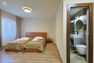 Hotel Ariesul - 9