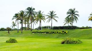 Apartment in Playa Blanca, OceanView - 6