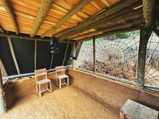 Eco nest - 6