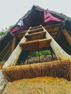 Eco nest - 4