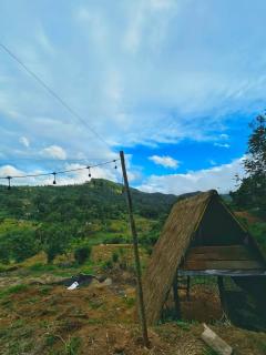 Eco nest - 3