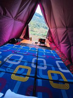 Eco nest - 2