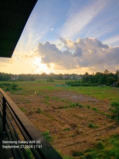 Paddy Field Home Only for Girls - 2
