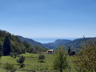 Tenuta Mazzotti - 9