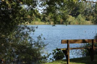 Dragonfly Stays at Lower Lakes - 1