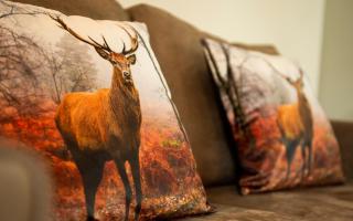 Country estate Sprielderbosch 38 De Houten Uil - 3