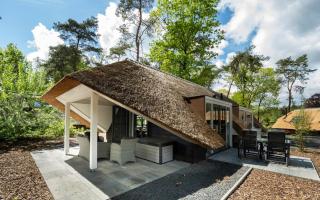 Holiday home Sprielderbosch 9 “Aquila” on the Veluwe - 9
