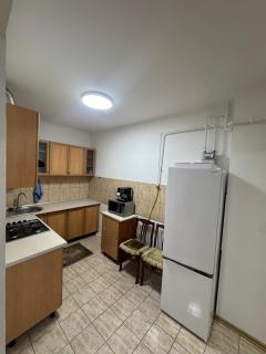 Mircea Avenue Apartment - 4