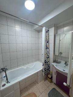Mircea Avenue Apartment - 6