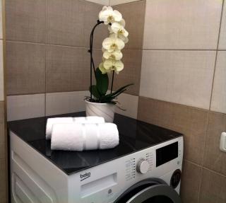 Romantic Room-Adult Only - 2