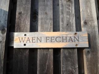 Waen Fechan - 6