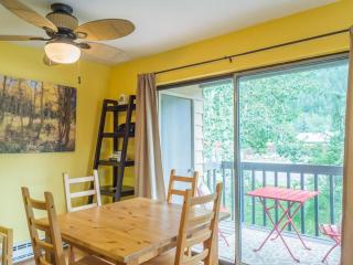 Mountain Stream Condo - 4