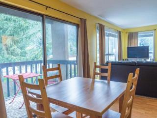 Mountain Stream Condo - 3