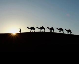 Sahara camp - 0