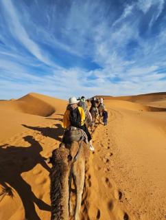 Sahara camp - 2