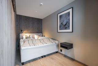 Alpelia Apartment 102 in Hemsedal Ski-in-Ski-out - 1