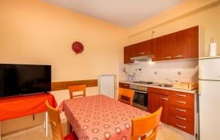 Apartments Dusan - 5