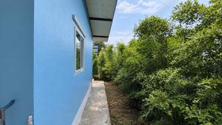 Blue Duo Garden - 1