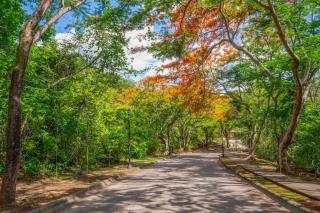 Family Friendly Reserva Conchal Retreat - 5
