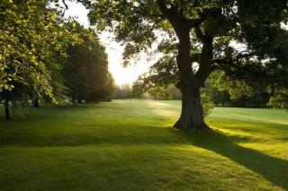 Country House in Portarlington - 9