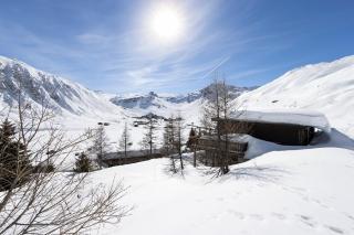 CHALET CROUZE - Chaleureux Chalet, ski au pied - 14 personnes - 1