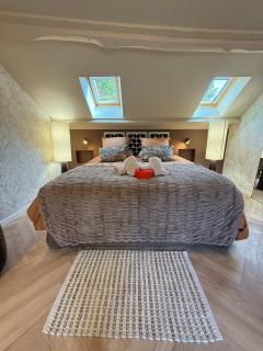 Duplex d'exception-rénové et hyper centre - 5