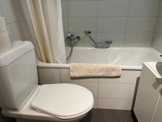 Furnished 1,5 Rooms Apartment Lausanne - 9